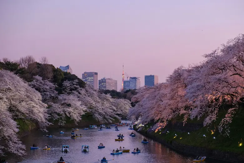 Tokyo: Discover the Magic